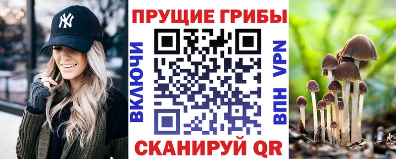 Купить где  Дедовск  Псилоцибиновые грибы Magic Shrooms 
